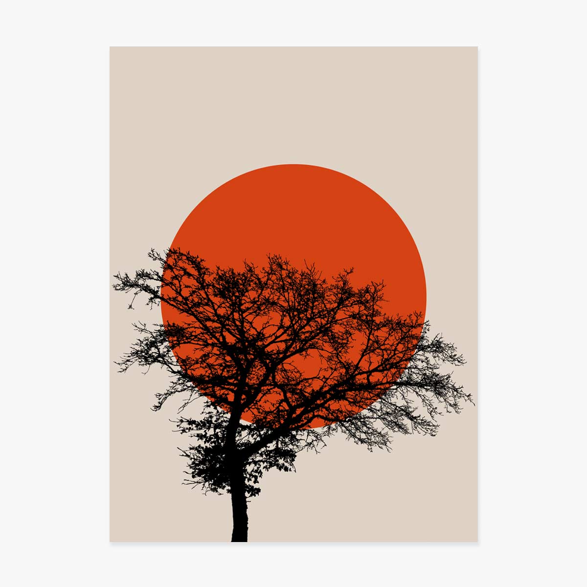 Poster Samenvatting Zon