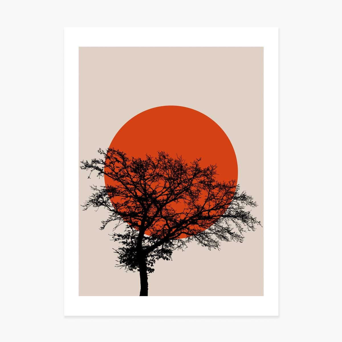 Poster Samenvatting Zon