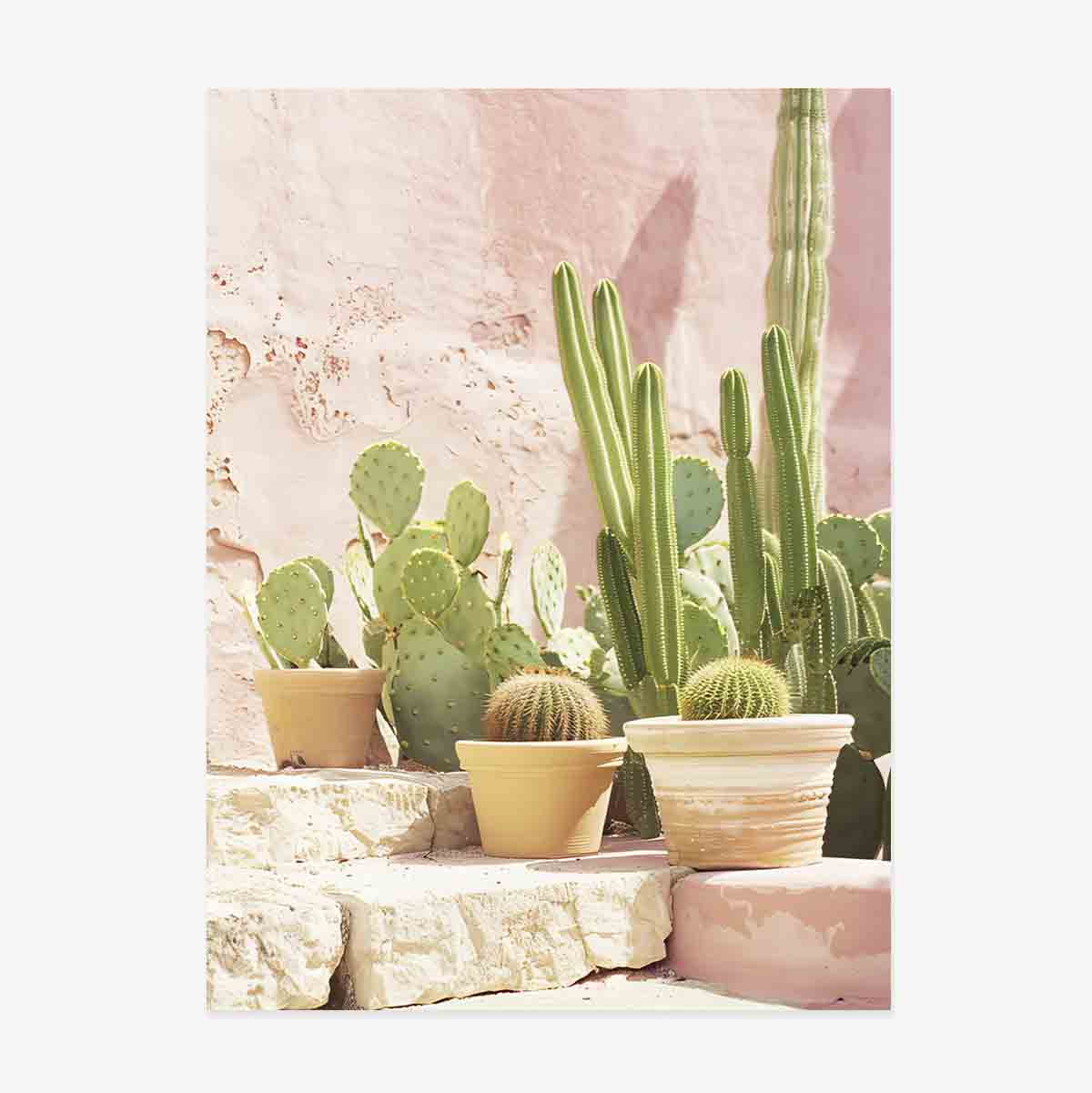 Poster met cactussen