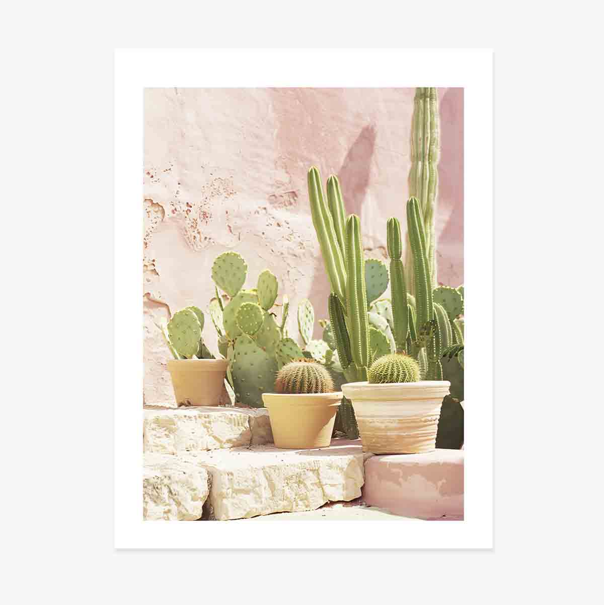 Poster met cactussen
