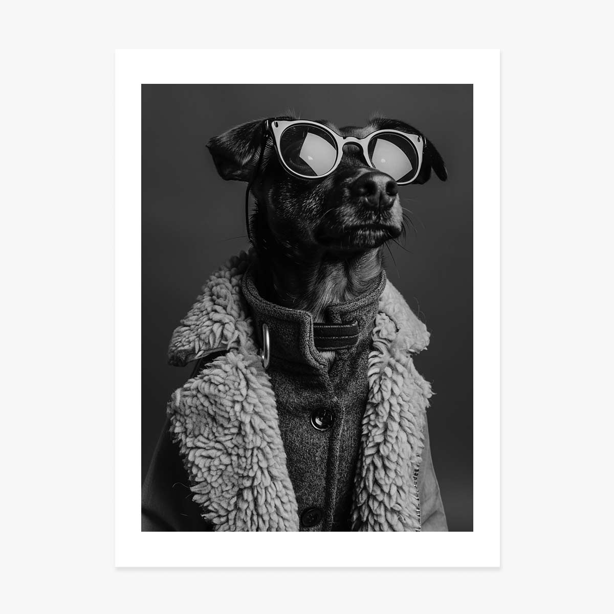 Affiche « Dog »