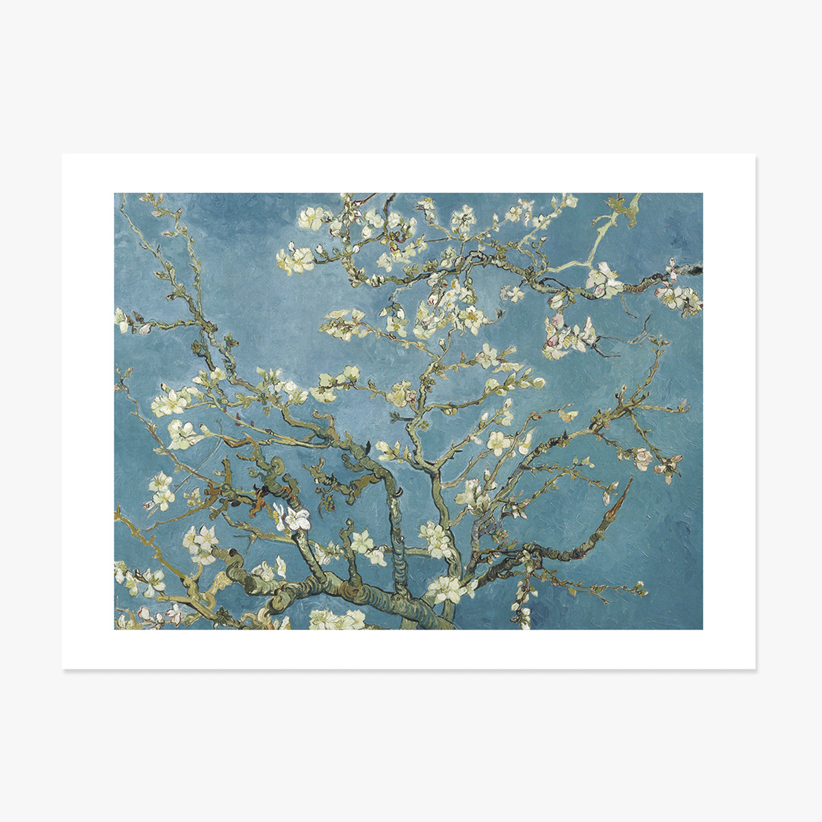 Affiche au format paysage - Vincent Van Gogh - Branches d