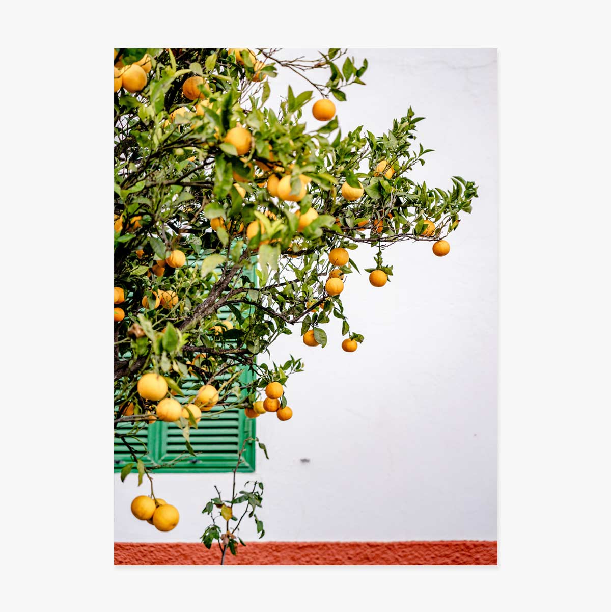 Poster Tangerines