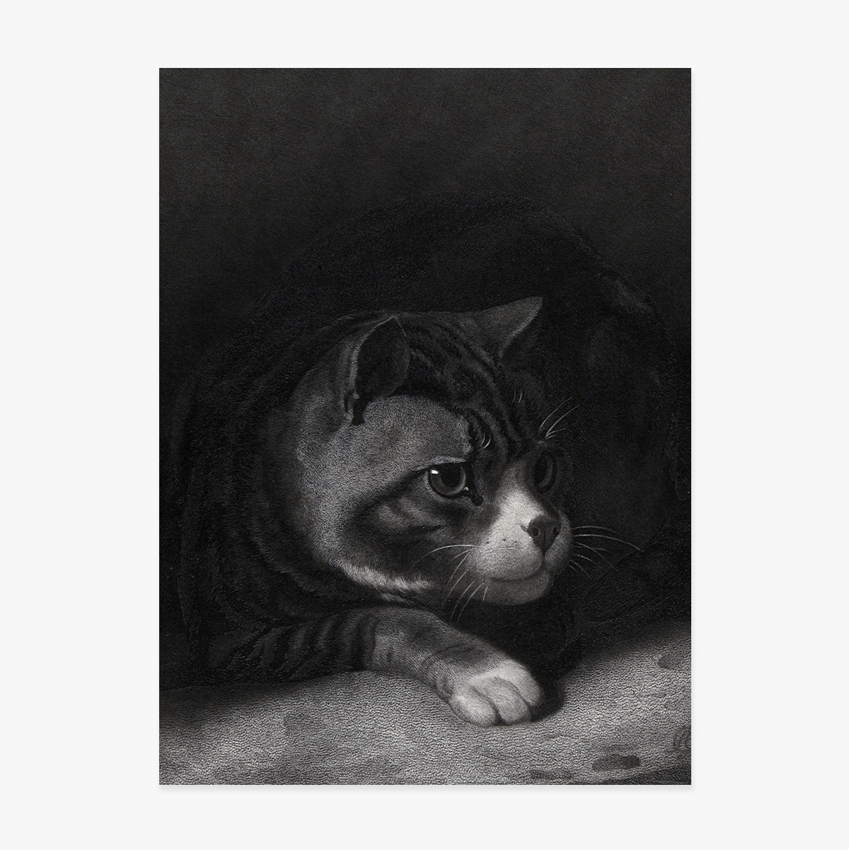 Affiche de William Gil, « Le chat vigilant scrutant les ombres », 1855